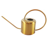 900ml Long Spout Houseplant Watering Pot Stainless Steel Golden Watering Can Home Garden Ornament - Aladdin Shoppers