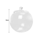 Maxbell 2xGlass Terrarium Decorative DIY 6.30'' Planter Jar for Chocolate Sugar Coffee