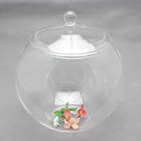 Maxbell 2xGlass Terrarium Decorative DIY 6.30'' Planter Jar for Chocolate Sugar Coffee