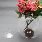 Maxbell 2xGlass Terrarium Decorative DIY 6.30'' Planter Jar for Chocolate Sugar Coffee