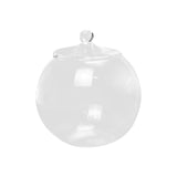 Maxbell 2xGlass Terrarium Decorative DIY 6.30'' Planter Jar for Chocolate Sugar Coffee
