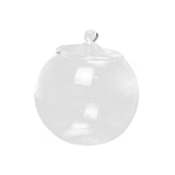 Maxbell 2xGlass Terrarium Decorative DIY 6.30'' Planter Jar for Chocolate Sugar Coffee