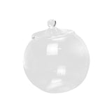 Maxbell 2xGlass Terrarium Decorative DIY 6.30'' Planter Jar for Chocolate Sugar Coffee