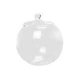 Maxbell 2xGlass Terrarium Decorative DIY 6.30'' Planter Jar for Chocolate Sugar Coffee