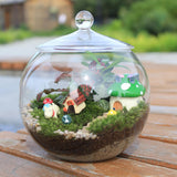 Maxbell 2xGlass Terrarium Decorative DIY 6.30'' Planter Jar for Chocolate Sugar Coffee