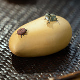 Maxbell Purple Clay Tea Pet Handcrafts Mini Tea Pet Sculpture for Home Shelf Cabinet D