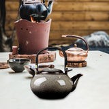 Maxbell Ceramic Teapot Traditional Tea Dispenser Tea Maker for Picnic Outdoor Hiking grey