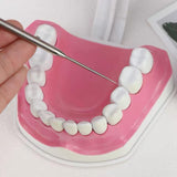 Telescopic Toothpick Reusable Oral Cleaning for Traveling Hiking Backpacking Silver