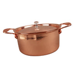 Maxbell Korean Ramen Pot Hotpot Pot Korean Instant Noodle Pot for Curry Stew Camping