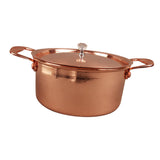 Maxbell Korean Ramen Pot Hotpot Pot Korean Instant Noodle Pot for Curry Stew Camping