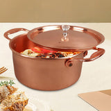 Maxbell Korean Ramen Pot Hotpot Pot Korean Instant Noodle Pot for Curry Stew Camping