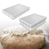 Maxbell 2xDough Proofing Box Large Capacity Multifunction for Fridge Pantry Restaurant 30cmx40cmx7.5cm