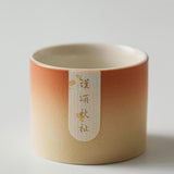 Maxbell Ceramic Teacup Set Portable Collection and Gift for Tea Lovers Gift Friends