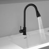 Maxbell Kitchen Faucet with Pull Down Spray Waterfall Kitchen Sink Faucet for Camping 2 gears black