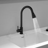 Maxbell Kitchen Faucet with Pull Down Spray Waterfall Kitchen Sink Faucet for Camping 3 gears black