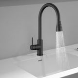 Maxbell Kitchen Faucet with Pull Down Spray Waterfall Kitchen Sink Faucet for Camping 3 gears wash black
