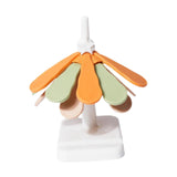 Maxbell Tree Coasters with Holder Foldable Hot Pot Holders for Hot Dishes Bowls Home
