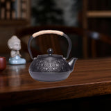 Maxbell Cast Iron Teapot 0.9L Japanese Loose Leaf Tea Pot for Teahouse Indoor Hiking