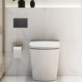 Maxbell Double Flush Actuator Plate Toilet Flush Button for Hotel Hostel Dorm 24.55x16.35x3cm