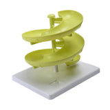 Maxbell Spiral Egg Dispenser Modern Egg Dispenser for Pantry Counter Kitchen