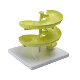 Maxbell Spiral Egg Dispenser Modern Egg Dispenser for Pantry Counter Kitchen