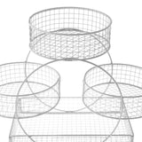 Maxbell Tiered Fruit Basket Iron Mesh Kitchen Countertop Rack for Potato Snack Bread White