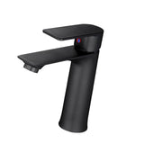 Maxbell Bathroom Sink Faucet Fashion Kitchen Sink Tap for Farmhouse Bathroom Kitchen Black