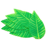 Maxbell 200x Artificial Leaf Sushi Plate Decor Dish Mat Sushi Dish Platter Ornaments Light Green