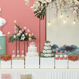 Maxbell Food Display Stand Cube Display Nesting Riser for Brunch Collectible Jewelry 6Pcs