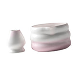 Maxbell Matcha Bowl with Whisk Holder Gift Japanese Matcha Tea Set for Matcha Powder Pink