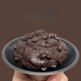 Maxbell Mini Cake Pan Household Bakeware Muffin Cake Making Tool Nonstick Baking Pan Small Aluminized