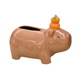 Maxbell Cute Ceramic Capybara Shaped Tissue Box for Kitchen Countertop Bedside Table Climbing