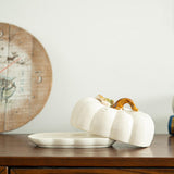 Maxbell Salad Plate with Lid Elegant Ceramic Dessert Plate for Party Cafe Restaurant White