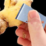 Maxbell Ginger Peeler Multipurpose Stainless Steel for Cucumber Household Restaurant