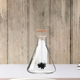 Maxbell Bottle Brush Gentle Water Bottle Cleaner Brush for Kettle Narrow Neck Flask