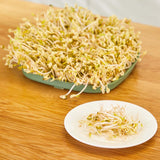 Maxbell Bean Sprouts Machine EU Plug 16W Automatic Bean Sprouts Maker for Mung Beans Intelligent Type