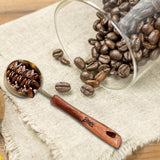 Maxbell Coffee Bean Scoop for Coffee, Tea Compact Coffee Measure Scoop