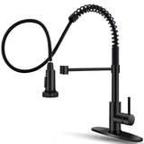 Maxbell Kitchen Faucet Decorative Replacement Double Mode Setting for Office Home RV Black