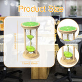 Maxbell Sand Clock Timer 30 Minutes Novelty Sandglass Timer for Games Office Cooking green