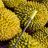 Maxbell Durian Testing Stick Grocery Convenient Lightweight Retail Fruit Testing Rod 30cm