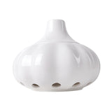 Maxbell Ceramic Garlic Storage Container with Lid Storage Jar for Party Kitchen Home