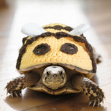 Maxbell Sweater for Turtle Cozy Lightweight Amphibians Cute Dress up Knitted Apparel 17.5cm
