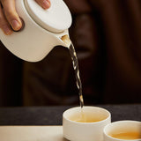 Maxbell Travel Tea Pot Set Portable Kung Fu Teapot for Camping Business Housewarming