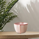 Maxbell Tea Cup Collection Elegant Chinese/Japanese for Friends Tearoom Office B