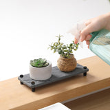 Maxbell Water Absorbing Stone Tray Protect Surface Bathroom Tray for Hand Soap Plant Style D