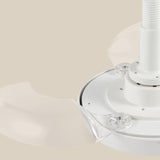 Maxbell Ceiling Fan Light Fixture Three Adjustable Wind Speeds for Apartment Kitchen S 33W