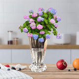 Maxbell Petals Glass Vase Portable Plant Flower Container for Cafe Dining Room Decor Clear