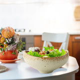 Maxbell Irregular Salad Bowl Modern Versatile Decor Food Bowl for Kitchen Home Snack