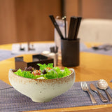 Maxbell Irregular Salad Bowl Modern Versatile Decor Food Bowl for Kitchen Home Snack