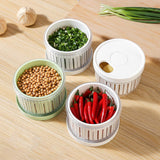 Maxbell Fresh Keeping Box Sealing Vegetable Storage Container for Ginger Garlic Nuts